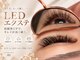 ミィ(Mi)の写真