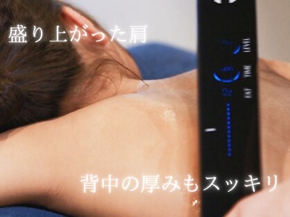 リアン(Lian)の写真