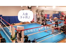 さくらボクシングジム/インスタグラムにて動画更新中♪