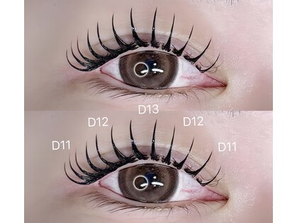 ミリ(mm.)の写真