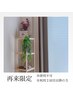【再来限定】再来割引|200円OFF