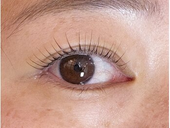 ペルシャ(Persian)/お客様デザイン(担当:宮井)