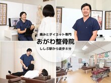 おがわ整骨院