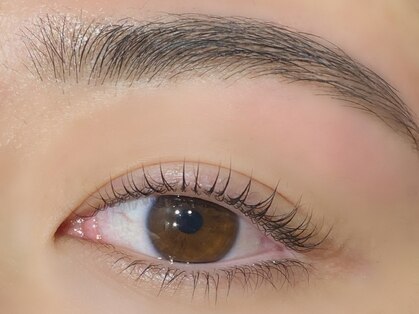 アス(us.)の写真