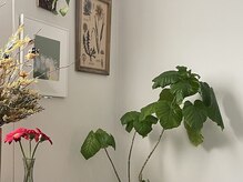メノー(menoo)の雰囲気（ご来店お待ちしております）