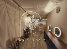 ルピナス(Lupinus)