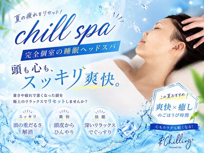 シップ(SHIP)の写真