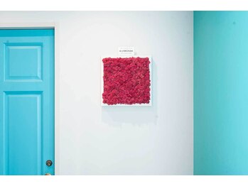 すやツヤ/サロン内観