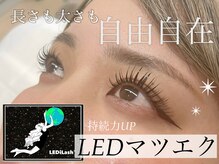 シアラ 北花田店(Ciara)/LEDマツエク