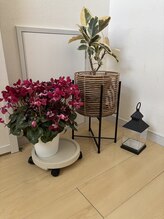 フローケア(flowcare)/サロン内のお花♪