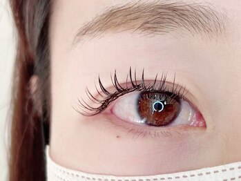 クレパリラッシュ(Clepari Lash)/フラットマットラッシュ120本