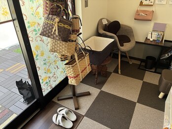 ラ クッション(La cushion)/