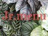 【Jr.ネイリスト】ハンド:120分持込デザインつけ放題コース ¥5,500