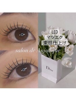 サロンド アンジュリーク(salon de Anjulique)/LEDマツエク