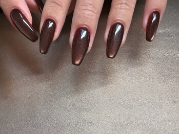 アムネイル(am.nail)/ブラウンmag