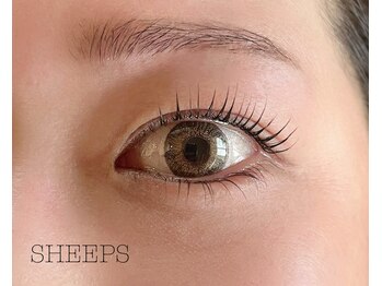 シープス(SHEEPS)/まつ毛パーマ