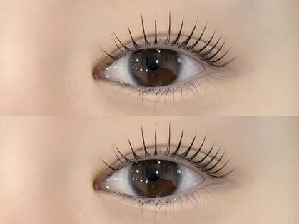 エルブリンク(elblink)の写真