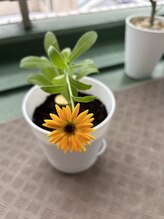 癒しっぽ&nbsp;はやし りえ