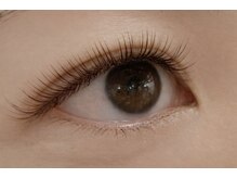 チック(chick)/LEDモカブラウン80束