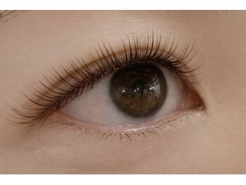 チック(chick)/LEDモカブラウン80束