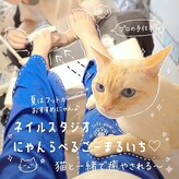 アンラベルゴーマルイチ(UNR501.)