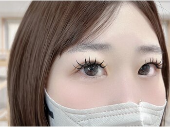 ステイゴールド(STAY GOLD)/BINDROCK80束