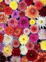 入谷の整体 ゆうあい院&nbsp;Nishi (女性)