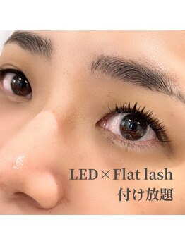 キー(Key.)/LED★フラットラッシュつけ放題