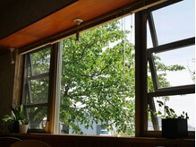 セラピア(Therapia)/解放感と緑が心地良い空間