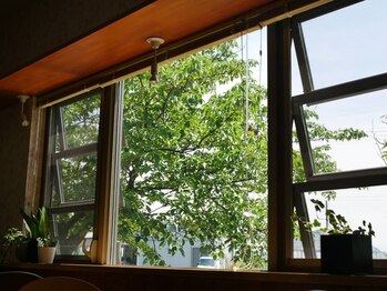 セラピア(Therapia)/解放感と緑が心地良い空間