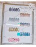 【RIDORA 限定】★★★新作★★★ ９月で終了！◎夏の定額アート