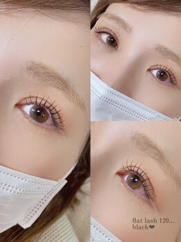 ウォーム(warm)/flat lash black 120本