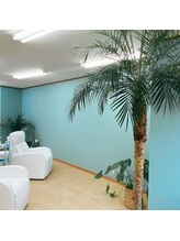 プルメリアラッシュ(PlumeriaLash)/Plumeria Lash 三郷店