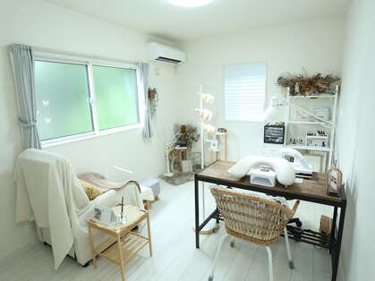 ステラ(stella.)の写真