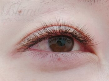 アイラッシュサロン ブラン イオン上越店(Eyelash Salon Blanc)/【4D】まだまだ続く♪春キャン