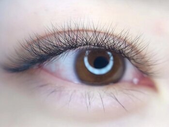 ラウア(Raua)/【マツエク】3D