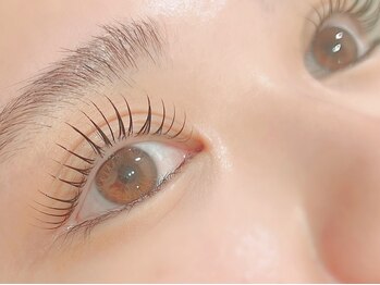 ステラ 佐賀(Stella)の写真/お客様のお悩みに合わせた施術&ケア◎経験豊富なスタッフが1人1人の《なりたい》を叶え理想の目元を実現♪