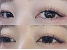 テディプラス(Teddy+)/3Dボリュームラッシュ