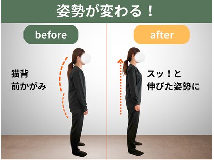 整体コンディショニング セレクトの写真