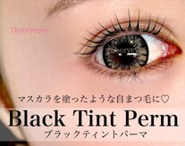 セオリーアイズ(Theoryeyes)