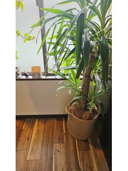 女性整体専門店 HeartChakra【ハートチャクラ】自由が丘 肩こり/リンパマッサージ/自然光が差し込む落ち着いた空間