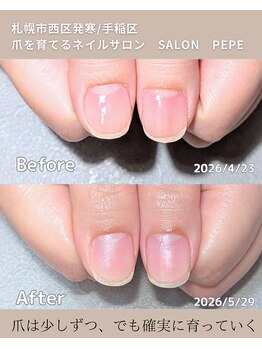 サロンペペ(salon pepe)/育成開始から1ヶ月