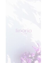 リナリア(linaria)&nbsp;リナリア 
