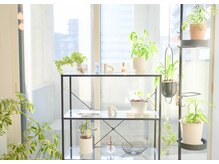 メボレ(mebore)/〈店内〉