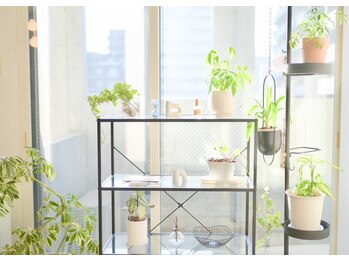 メボレ(mebore)/〈店内〉