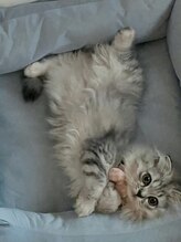 ユリネイル(YULI.NAlL)&nbsp;もも 