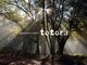 リラクゼーションサロン トトラ(totora)の写真