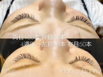 ハニーバニー(Honey Bunny)/LEDエクステ~before→after~