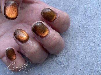 リーフ(Leaf)/マグネットネイル