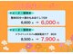 ラクダ(Rakuda)の写真